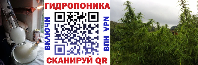 Гашиш Кудымкар