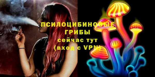 прущий лед Гусь-Хрустальный