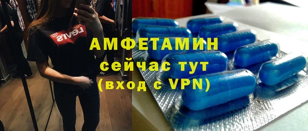 первитин Гусев