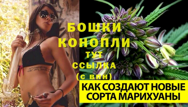 прущий лед Гусь-Хрустальный