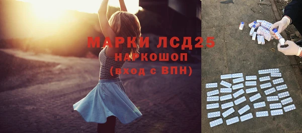 первитин Гусев