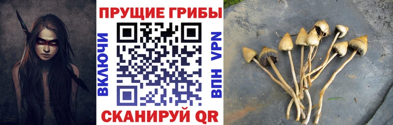 Псилоцибиновые грибы прущие грибы  Купить где  Кудымкар 